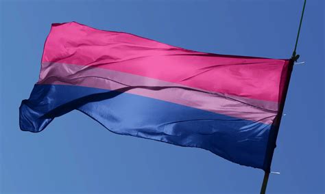 heteroromantic bisexual flag|Asexual Heteroromantic